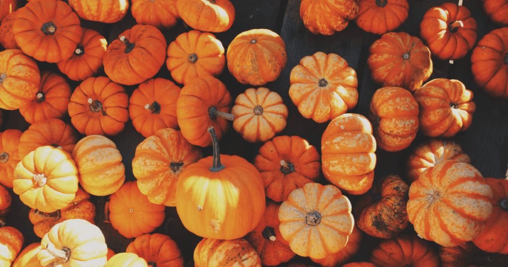 Fall pumpkin breakfasts